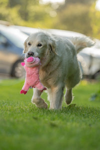 Petface Flat Crinkle Pig Dog Toy