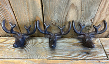 Load image into Gallery viewer, Cast Iron Novelty Door or Drawer Handles (3 Designs)