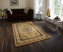 Load image into Gallery viewer, Heritage Traditional Floral &amp; Swirl Pattern Rug (Various Colours &amp; Sizes)