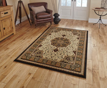 Load image into Gallery viewer, Heritage Traditional Floral &amp; Swirl Pattern Rug (Various Colours &amp; Sizes)