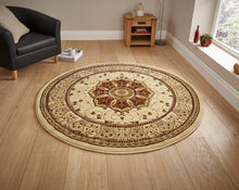 Load image into Gallery viewer, Heritage Traditional Floral &amp; Swirl Pattern Rug (Various Colours &amp; Sizes)