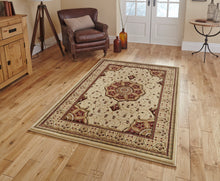 Load image into Gallery viewer, Heritage Traditional Floral &amp; Swirl Pattern Rug (Various Colours &amp; Sizes)