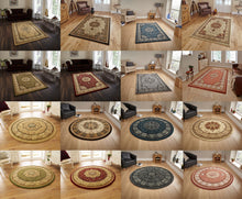 Load image into Gallery viewer, Heritage Traditional Floral &amp; Swirl Pattern Rug (Various Colours &amp; Sizes)