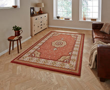 Load image into Gallery viewer, Heritage Traditional Floral &amp; Swirl Pattern Rug (Various Colours &amp; Sizes)