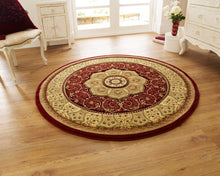 Load image into Gallery viewer, Heritage Traditional Floral &amp; Swirl Pattern Rug (Various Colours &amp; Sizes)